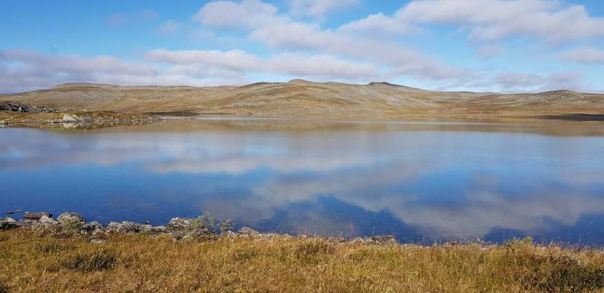 45971459_10156238141929690_8604921399343054848_o