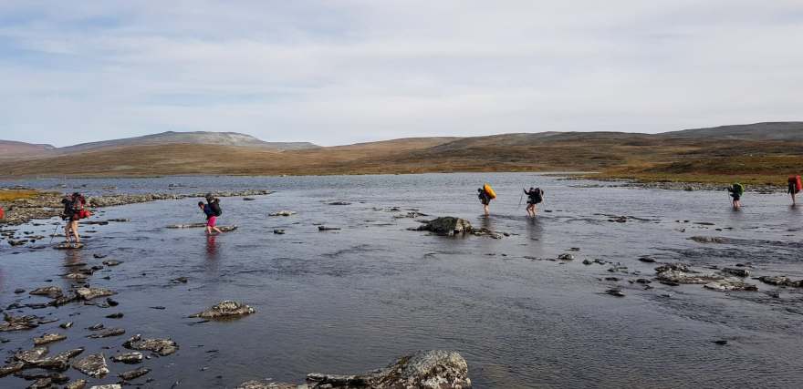 46007502_10156238136849690_73554592004046848_o