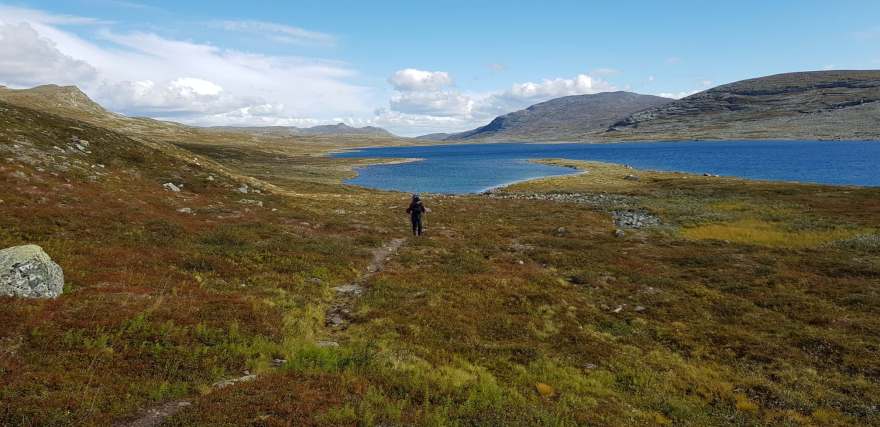 46157176_10156238129189690_3570922963370770432_o